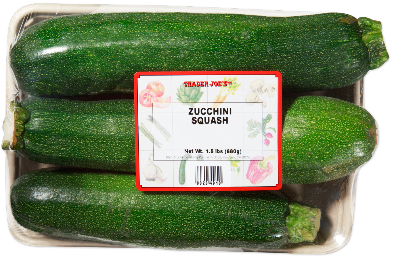 Zucchini Squash