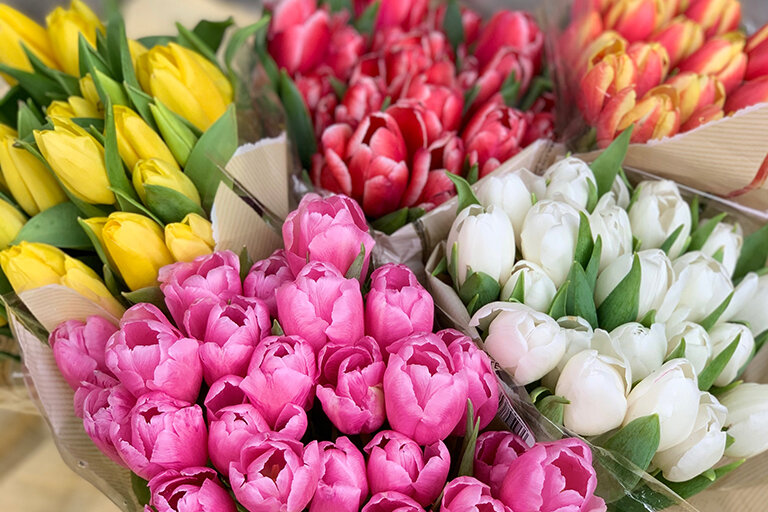 How to Create A Spring Tulip Floral Arrangement