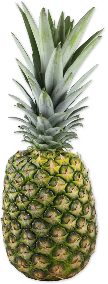 Pineapple 101: Benefits, Buying, And Storing Pineapple
