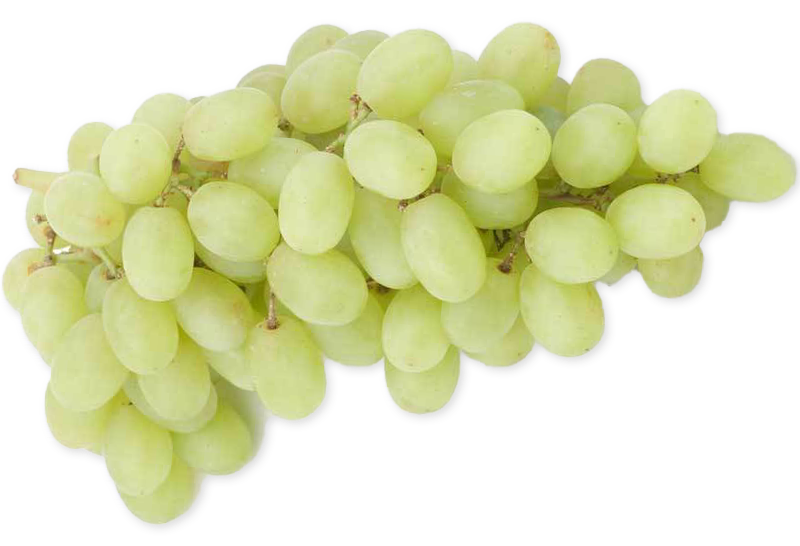 Sweet Baby Thompson Seedless Grapes