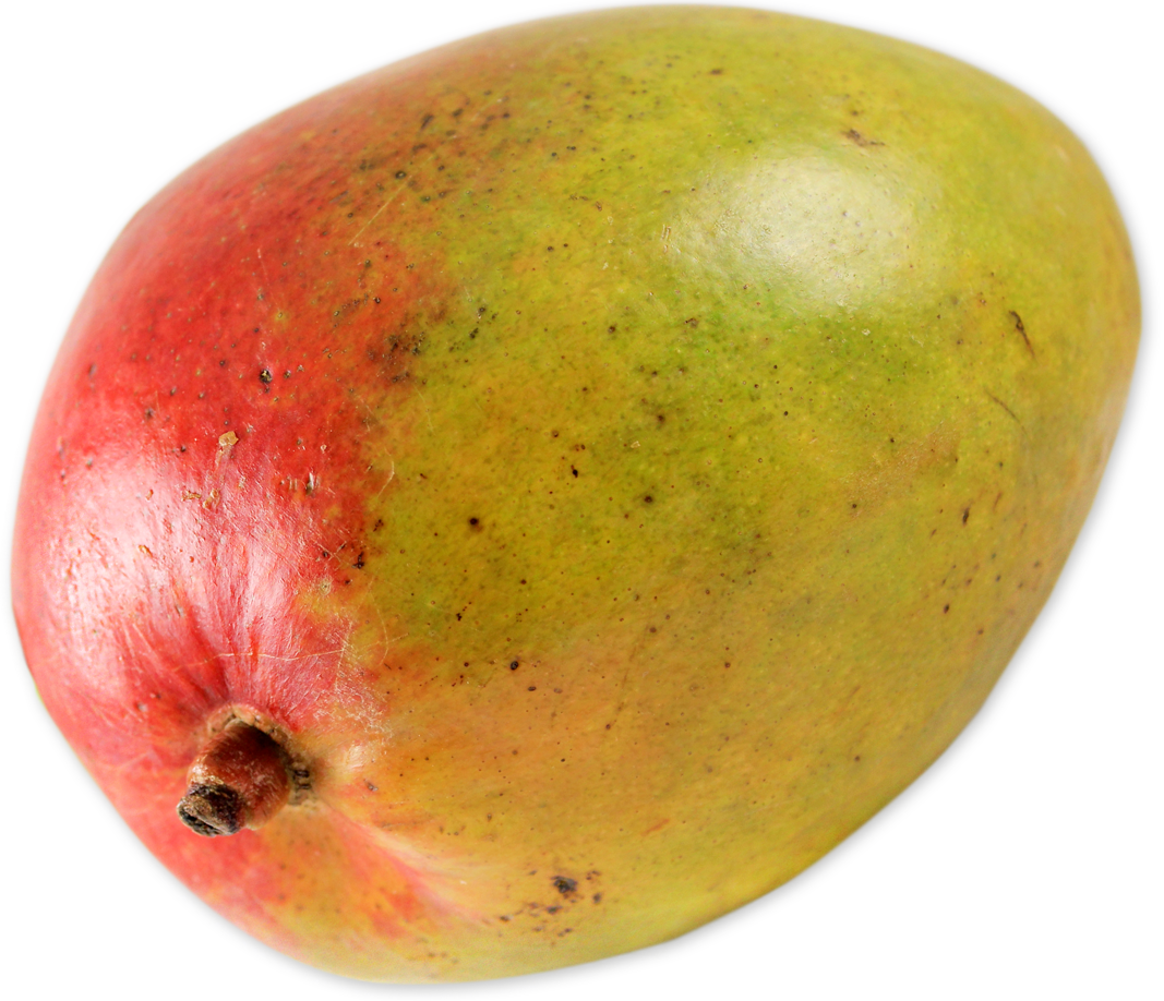 In Season: Mangoes, Everything to Know about Mangoes