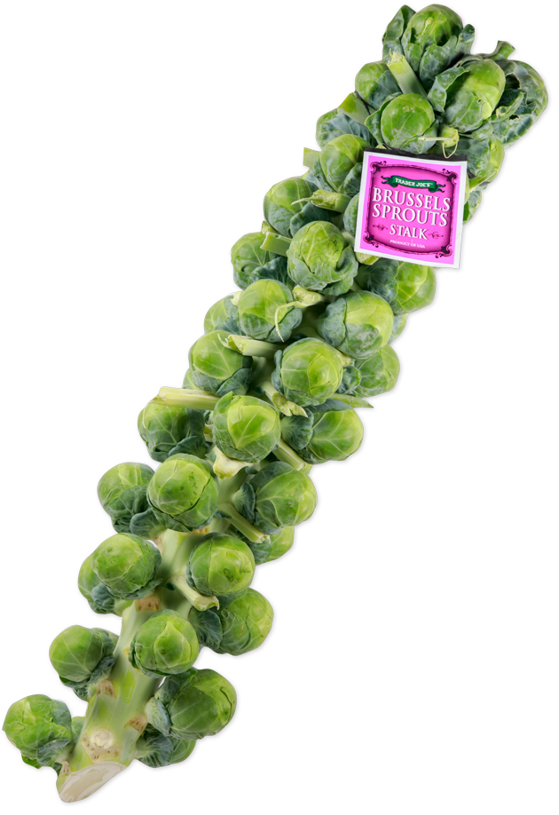 Brussels Sprouts Stalk