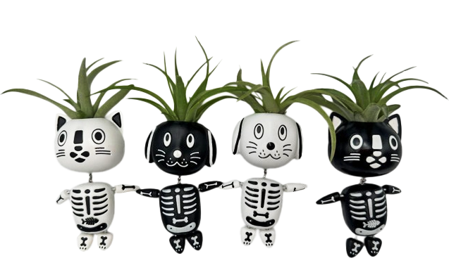 Bow Wow and Meow Tillandsia Planter
