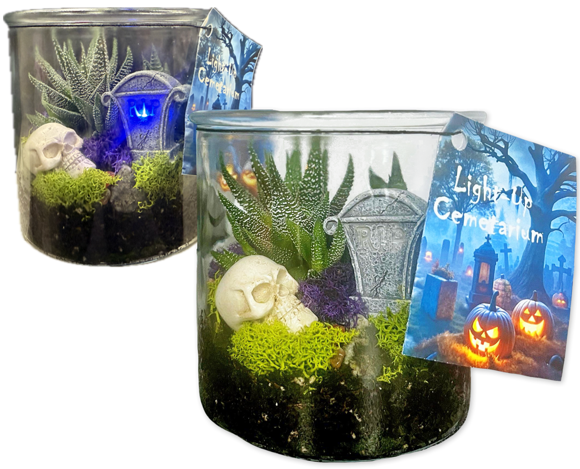 Light-Up Cemetarium | Trader Joe's