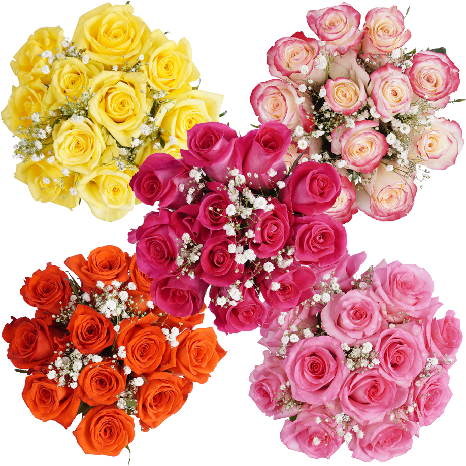 Dozen Roses Assorted Colors